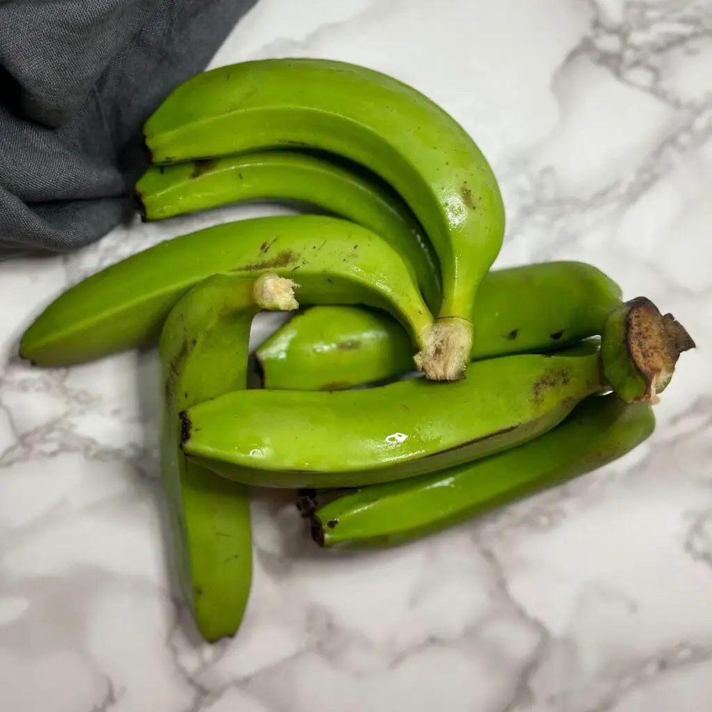 A hand of Jamaican Green Bananas