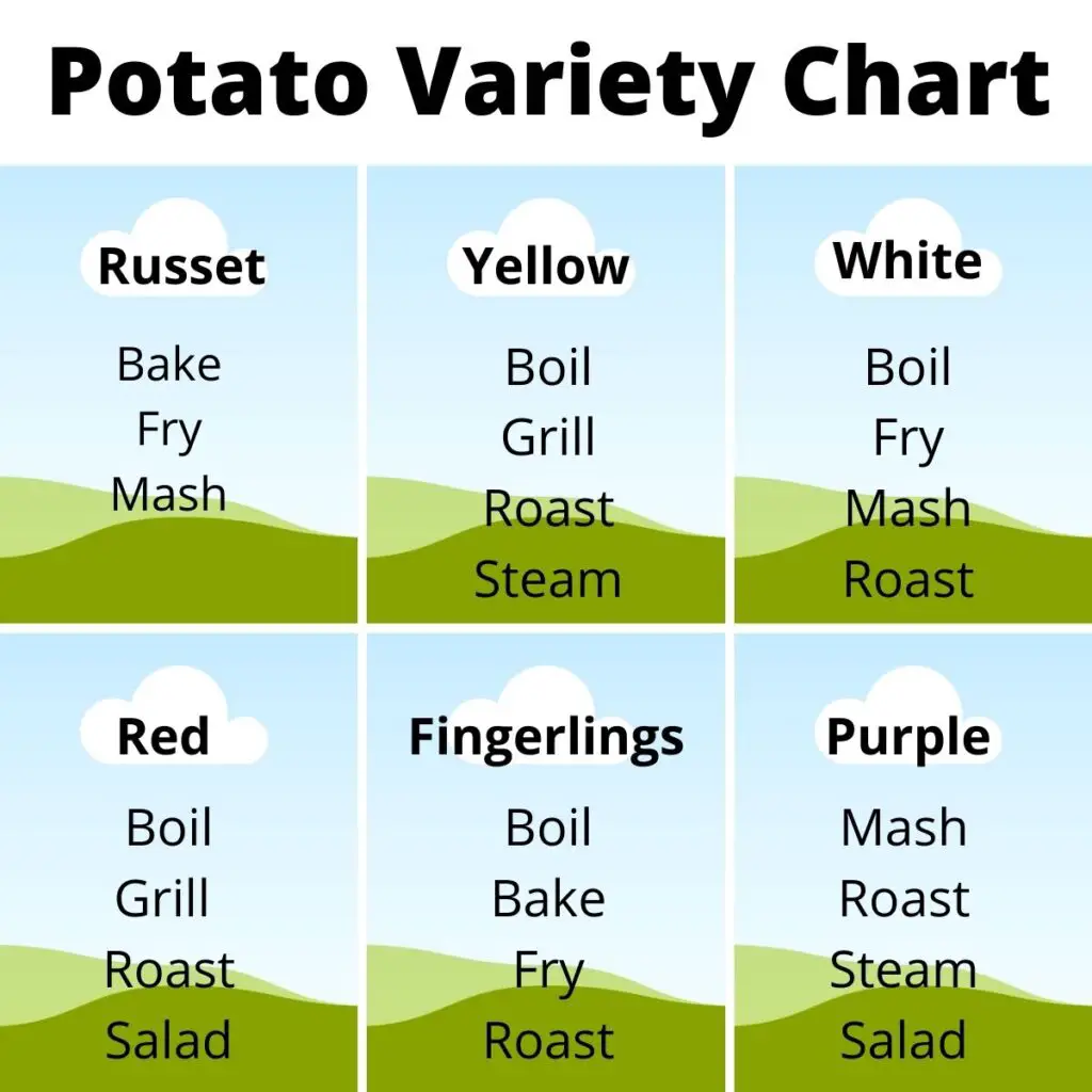 Potato Variety Chart