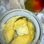 Vegan Mango Ice cream