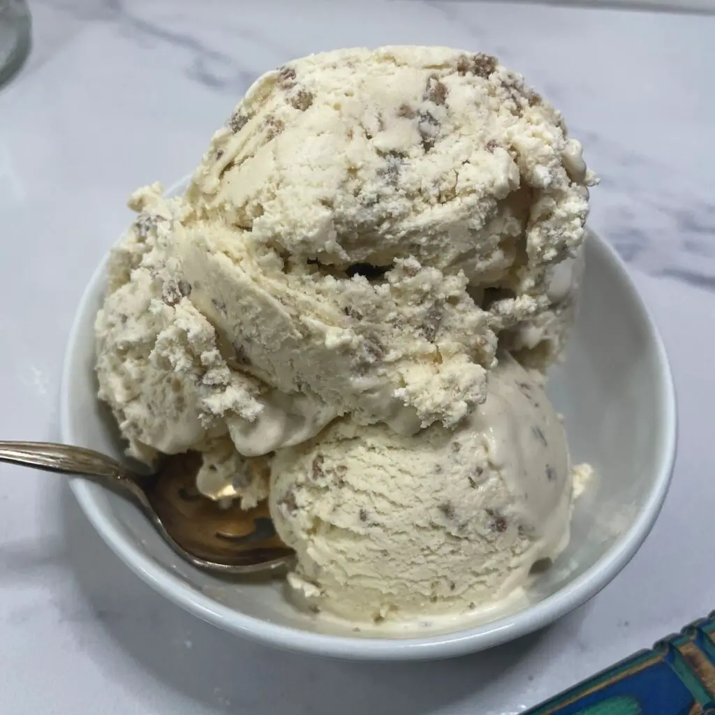 Jamaican Grapenut Ice Cream