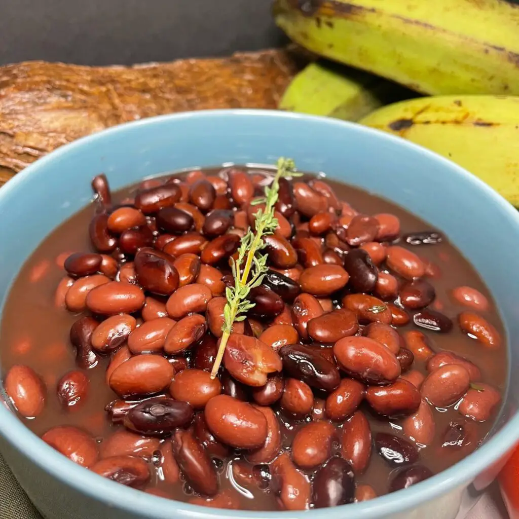 instant pot red kidney beans