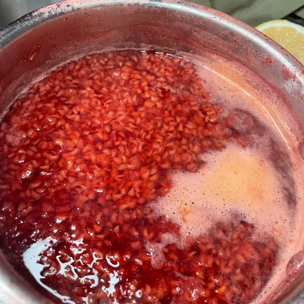 Generating Pectin From Raspberries
